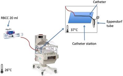 Safety of Red Blood Cell Transfusion Using Small Central Lines in Neonates: An in vitro Non-inferiority Study